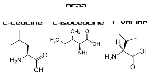 BCAA