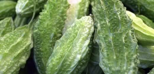 Get Shredded – Bittermelonen-Extrakt: Erhöhe deine Insulinsensibilität