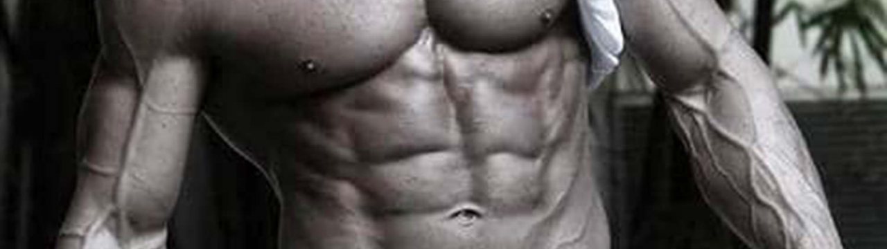 get shredded maximale fettverbrennung