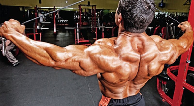 Längst vergessene und wenig bekannte Übungen: Rotatorenmanschette