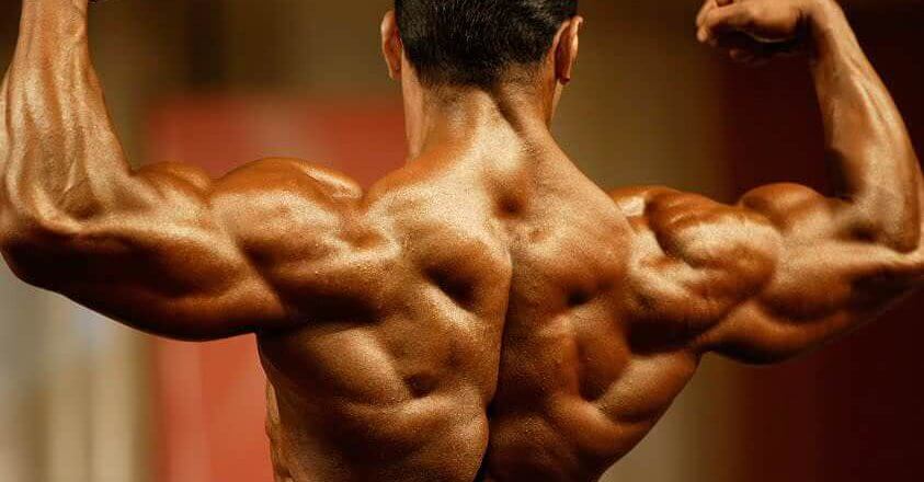 Wellenförmige Periodisierung oder Blocktraining: Theoretische Grundlagen