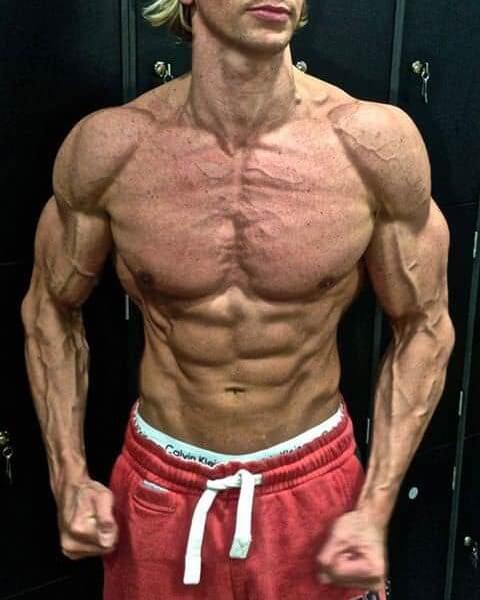 Alles Wissenswerte rund um Cholesterin