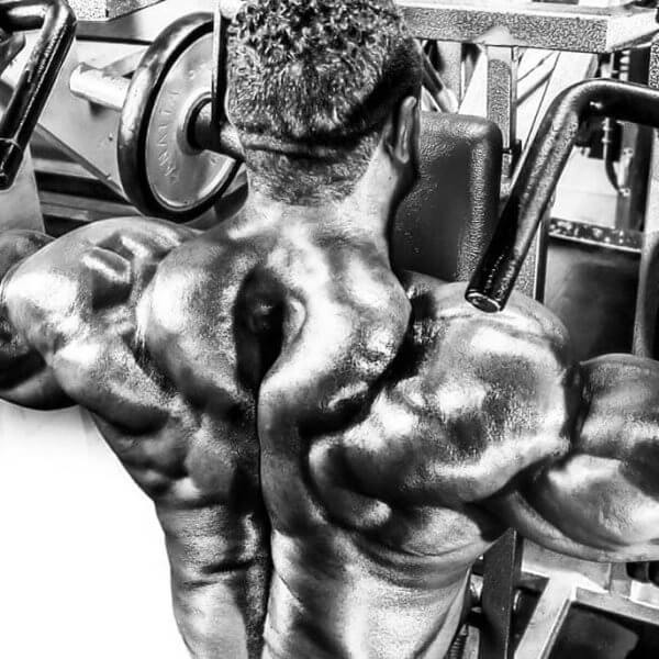 Ganzkörper- oder Splittraining: Wie gestalte ich meinen eigenen Trainingsplan