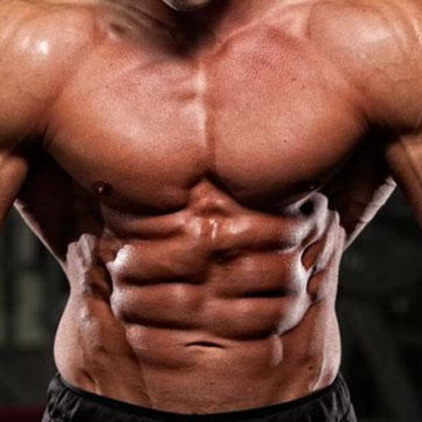 Die elementaren Grundlagen im Training und in der Ernährung