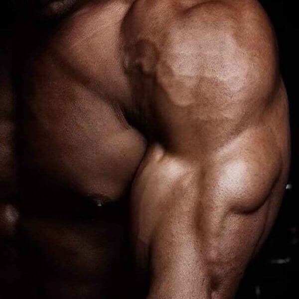 Super Arme in 10 Wochen: Das Programm