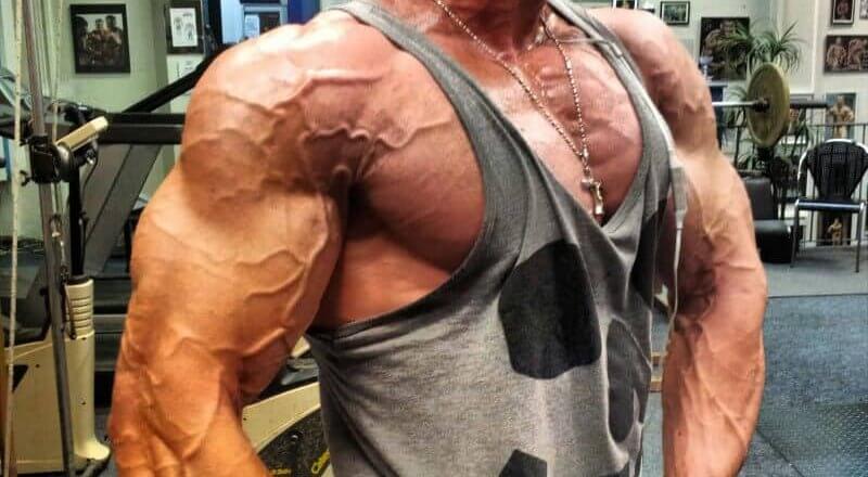 Get shredded mit den richtigen Lebensmitteln