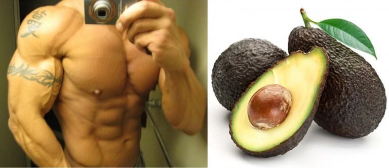 Avocado – Eine interessante Frucht in der Diät