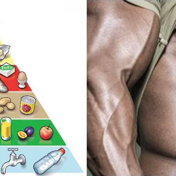 Die Lebensmittelpyramide: Sinn und Nutzen