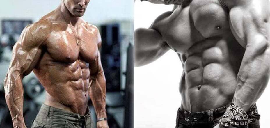 Das richtige Protein in der Diät