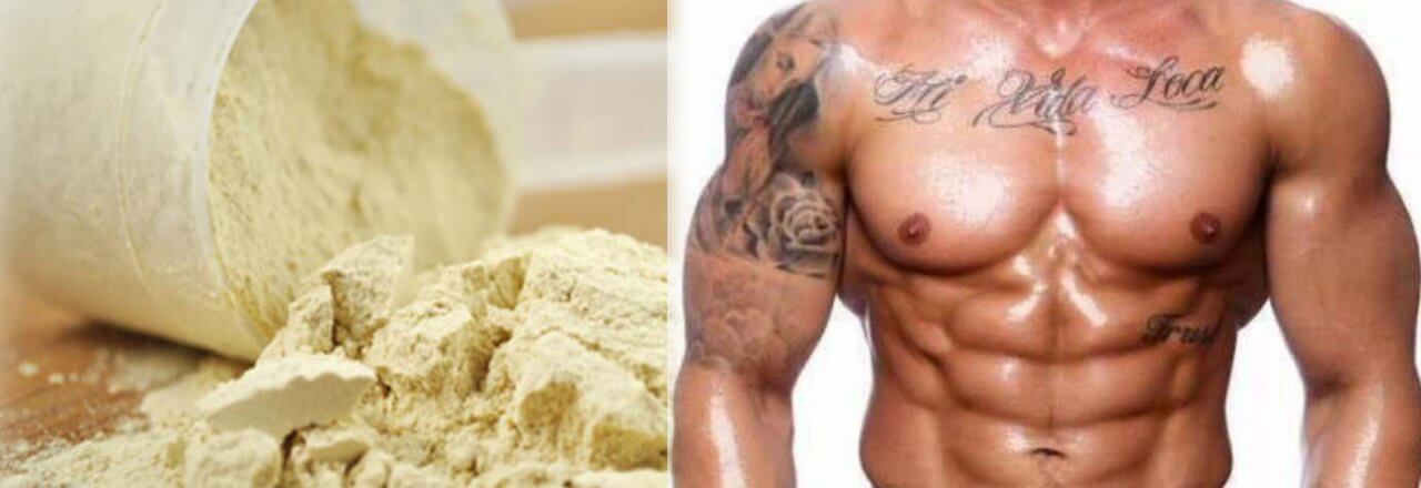 Weight Gainer – Nützlich oder überflüssig?