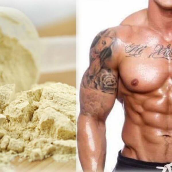 Weight Gainer – Nützlich oder überflüssig?