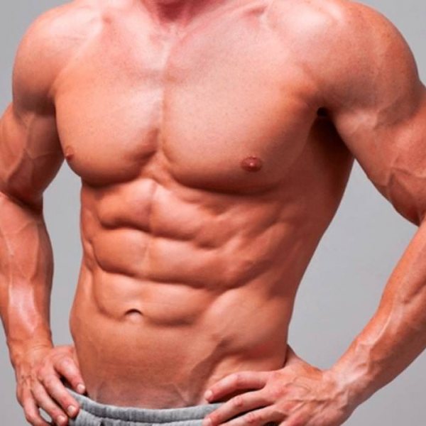 Gettin‘ massive and shredded: Makronährstoffe