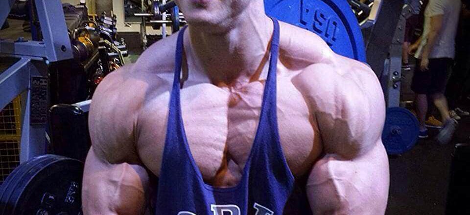 Eine Kalorie ist nicht eine Kalorie