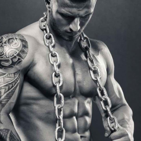 Gettin‘ massiv and shredded: Mikronährstoffe