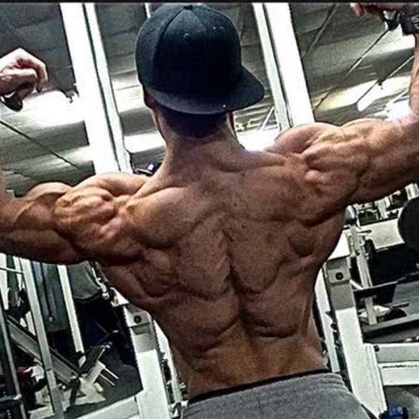 Richtig “shredded“ aussehen dank Kohlenhydraten in der Diät