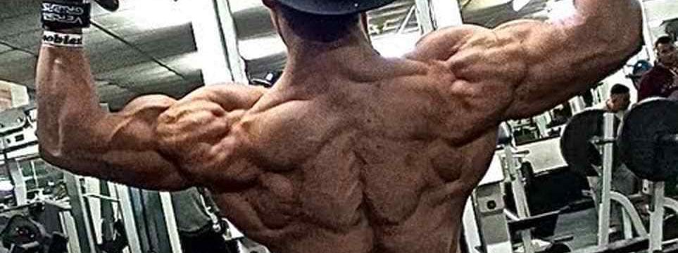 shredded_Kohlenhydrate