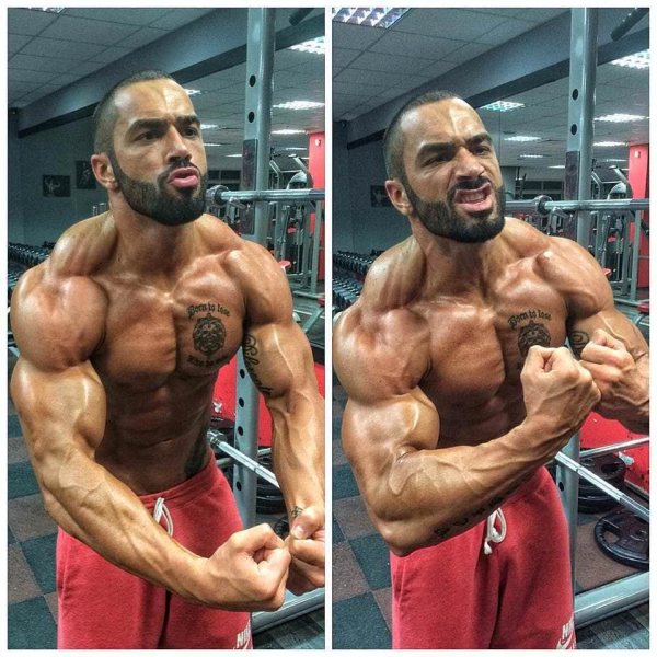 Proteinriegel in der Diät: Ja oder Nein?