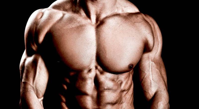 Der Schlüssel zu fettfreiem Muskelaufbau