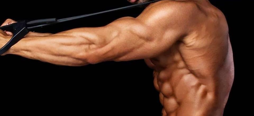 Nutrition Timing 2.0