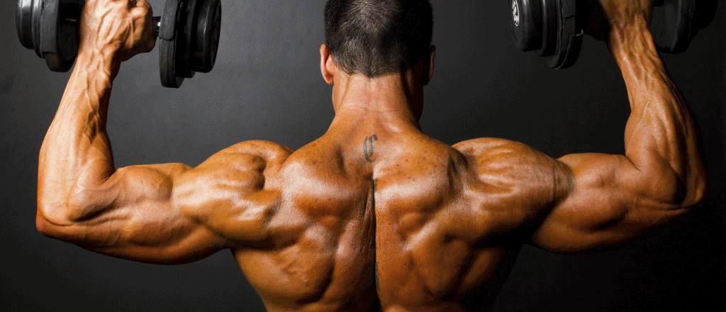 Genetik, Ernährung UND Training: Worauf es wirklich ankommt