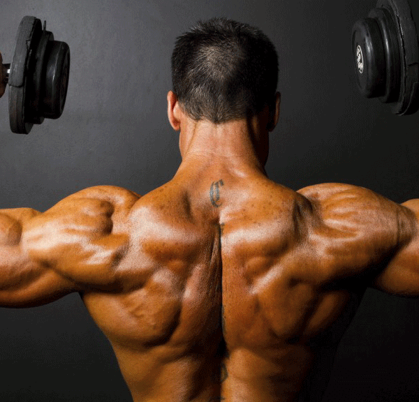 Genetik, Ernährung UND Training: Worauf es wirklich ankommt