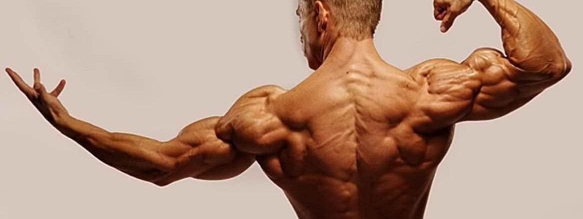 Super-Rücken in 10 Wochen: Das Programm