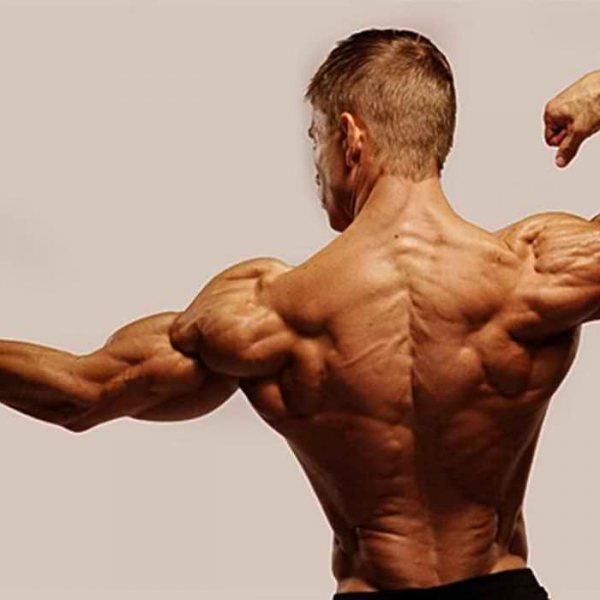 Super-Rücken in 10 Wochen: Das Programm