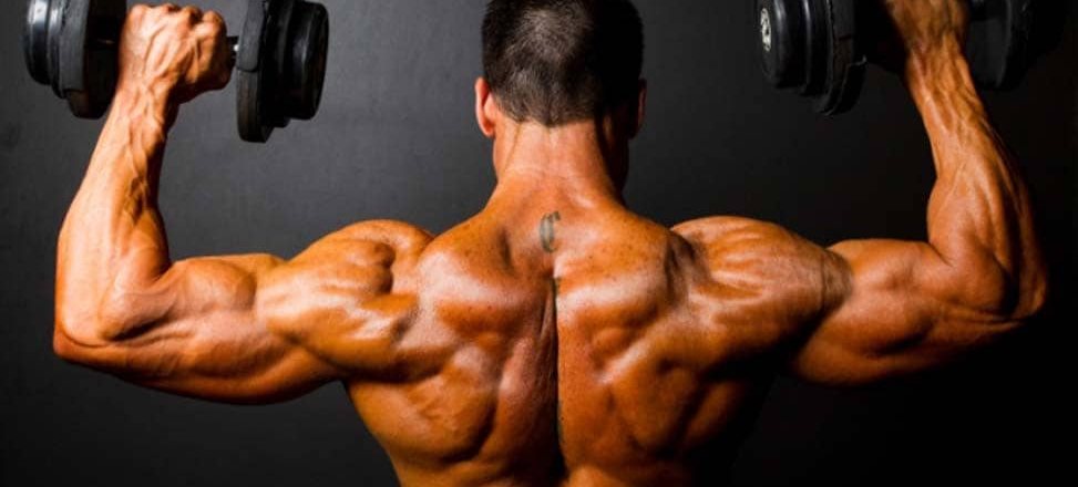 Super Schulter in 10 Wochen: Das Programm