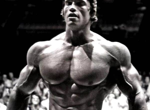Training und Ernährung des legendären Arnold Schwarzeneggers