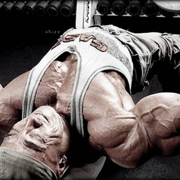 Fliegende: Die unterschätzte Übung für eine volle Brust