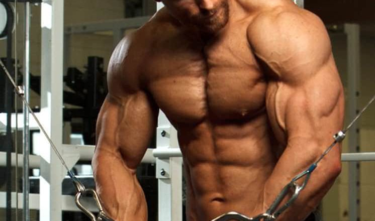 Lean Bulking: Der perfekte Muskelaufbau