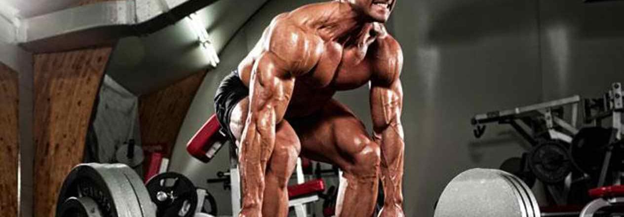 Das perfekte Workout: Die Anleitung