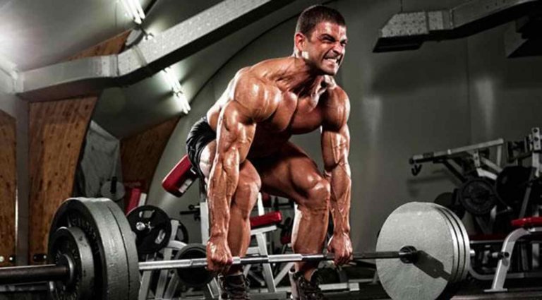 Das perfekte Workout: Die Anleitung