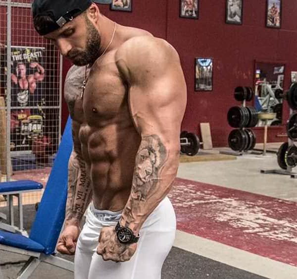 Die anabole Stunde: Optimiere dein Muskelwachstum Teil 3