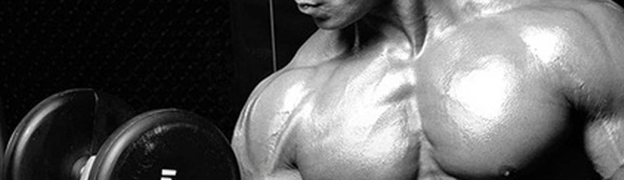 Natriuretisch_Peptid