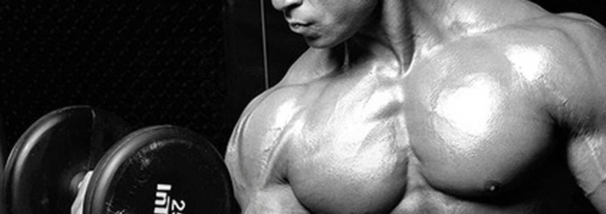 Natriuretisches Peptid: Warum die Fettverbrennung so komplex ist