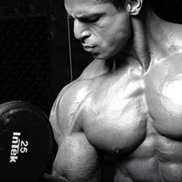 Natriuretisches Peptid: Warum die Fettverbrennung so komplex ist