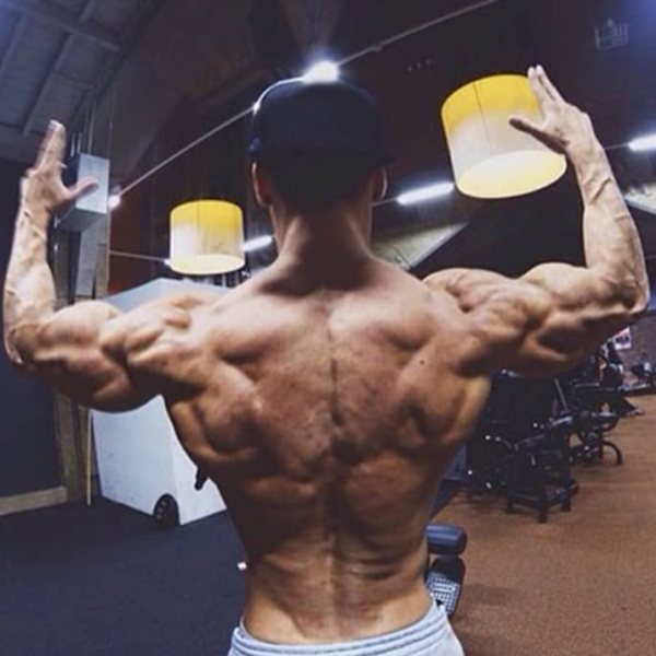 Lebensmittel die dick oder krank machen