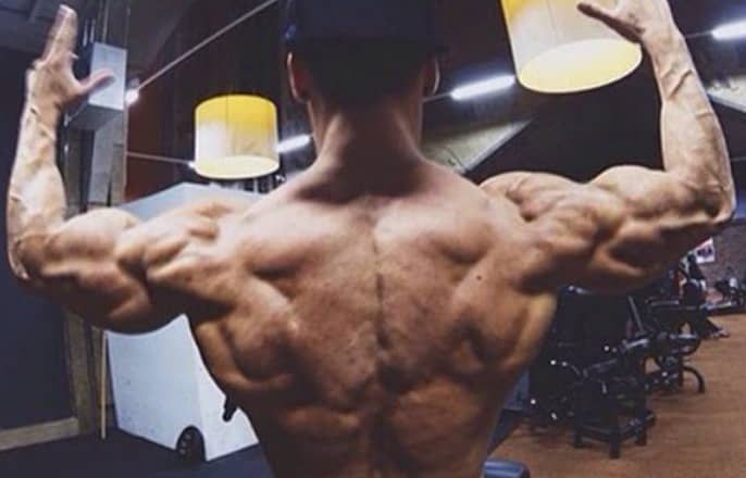 Lebensmittel die dick oder krank machen