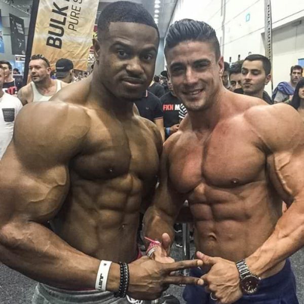 Der Muskelguide: Baue schnell Muskeln auf