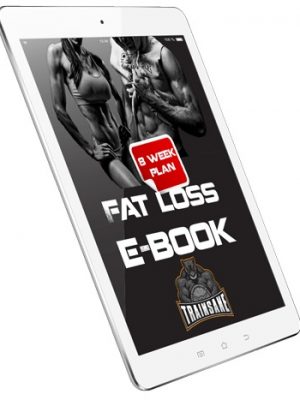 ipad-fattlossplan_small