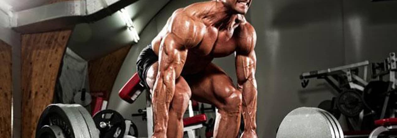 Real Weights – Konstante Progression ist der Schlüssel zum Traumkörper