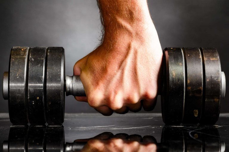 Warum Trainsane Nutrition Timing besser ist als die metabole Diät
