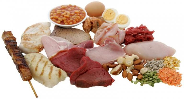 Krafttraining und Muskelaufbau – Muss ich wirklich mehr Protein essen?