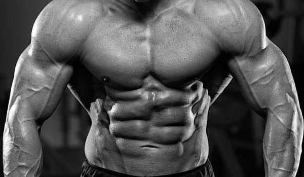 Maximaler Muskelaufbau – Goldene Regeln in der Ernährung