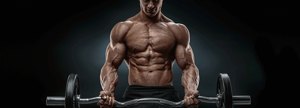 Bringe-dein-Muskelaufbaupotential-auf-ein-neues-Level
