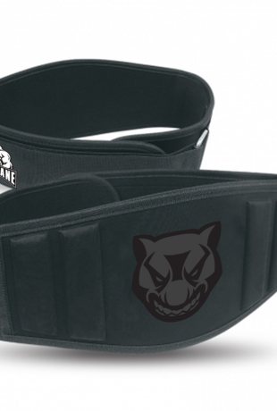 Weightlifting Belt