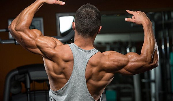 Myth Monday – Creatin als Kur oder durchgehend?