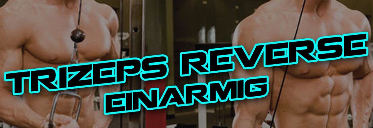 Trizeps Revers einarmig