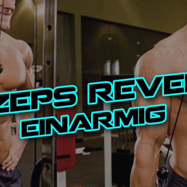 Trizeps Revers einarmig